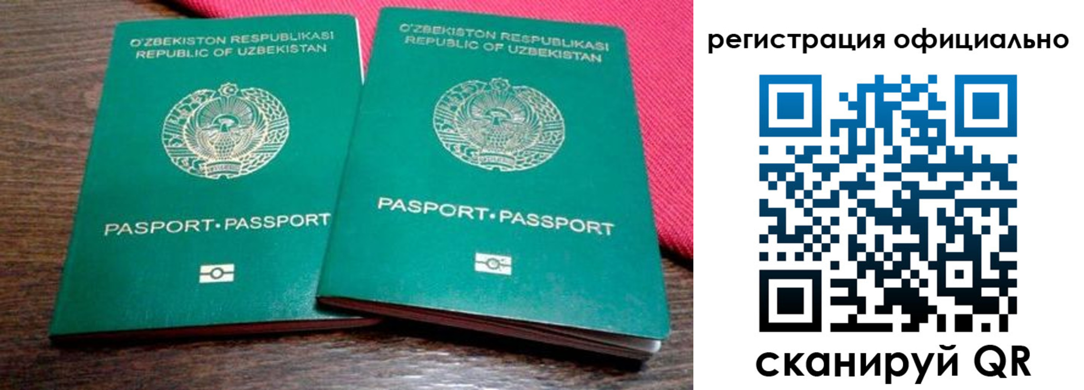 прописка регистрация в Гвардейске
